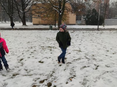 Obrázek 24731 