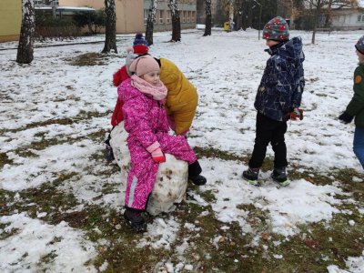 Obrázek 24738 