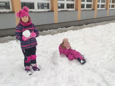 Obrázek 24772 