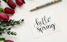 Titulní obrázek k příspěvku 11.3. - 15.3. 2024