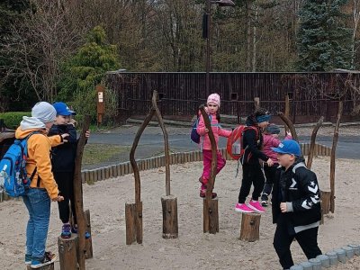 Obrázek 26849 