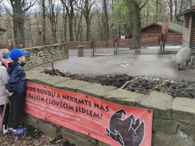 Obrázek 26788 