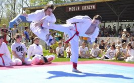 Titulní obrázek k příspěvku Ukázky karate v rámci běhu Fortuna Český Těšín