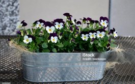 Titulní obrázek k příspěvku 15. - 19.4. 2024