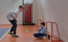 Titulní obrázek k příspěvku Sportujme společně
