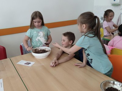 Obrázek 27528 