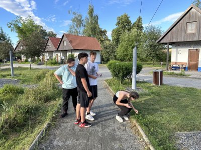 Obrázek 27699 