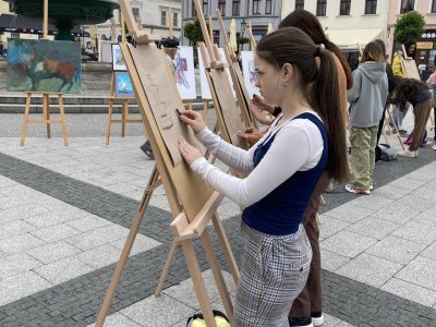 Obrázek 27772 