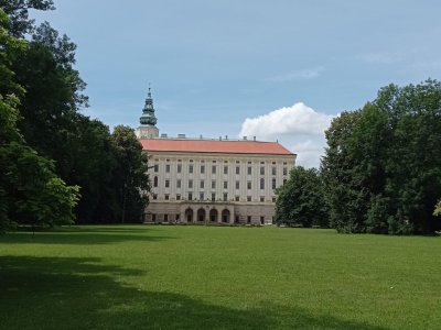 Obrázek 27855 