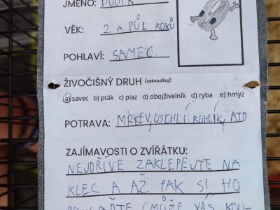 Obrázek 28936 