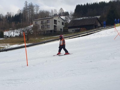 Obrázek 31060 
