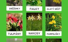 Titulní obrázek k příspěvku 3. března - 7. března