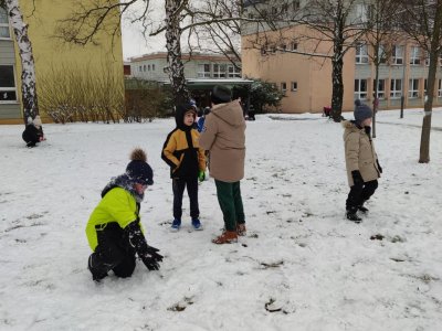 Obrázek 32128 