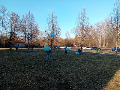 Obrázek 32513 