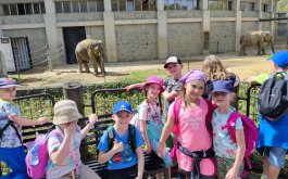 Titulní obrázek k příspěvku Výlet do Zoo Ostrava