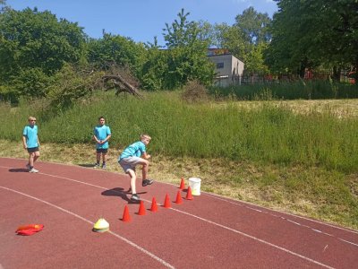 Obrázek 32993 