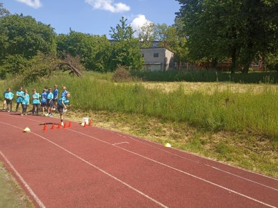 Obrázek 32983 