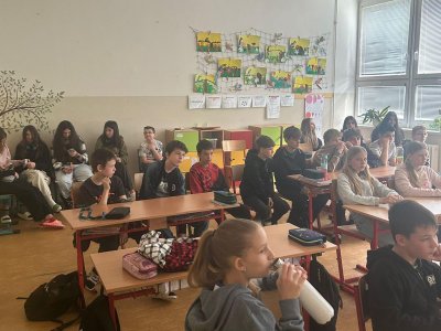 Obrázek 33426 