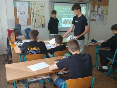Obrázek 33453 