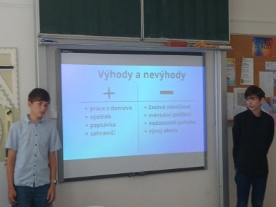 Obrázek 33455 