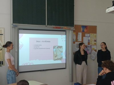 Obrázek 33456 