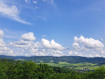 Obrázek 33477 