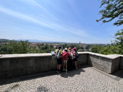 Obrázek 34006 
