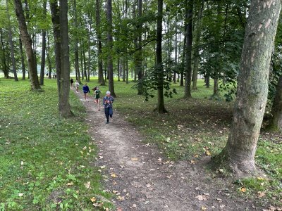 Obrázek 34198 