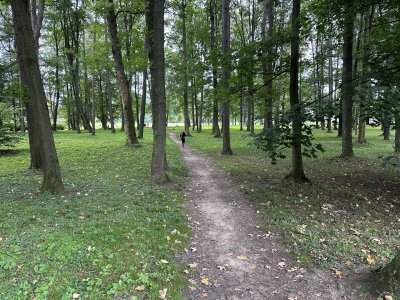 Obrázek 34166 