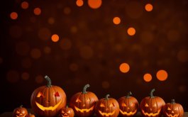 Titulní obrázek k příspěvku Týdenní plán 13.10.-17.10.