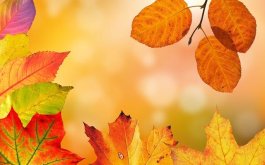 Titulní obrázek k příspěvku Týdenní plán