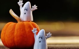 Titulní obrázek k příspěvku INFORMACE 20.10. - 24.10.