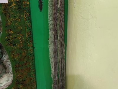 Obrázek 34550 