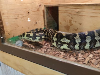 Obrázek 34524 