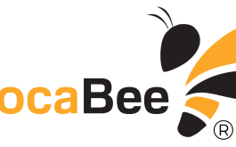 Titulní obrázek k příspěvku Wocabee šampionát 2025