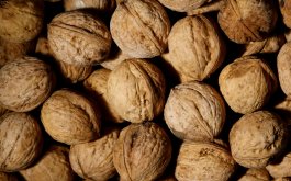 Titulní obrázek k příspěvku 10. - 14. listopadu