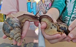 Titulní obrázek k příspěvku Výtvarná soutěž pro ŠD