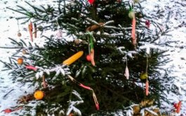 Titulní obrázek k příspěvku Vánoční stromeček pro zvířátka