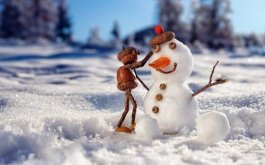 Titulní obrázek k příspěvku 12. - 16.ledna