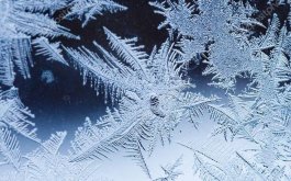 Titulní obrázek k příspěvku 19.- 23.ledna