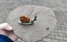 Titulní obrázek k příspěvku Procházka po lese II