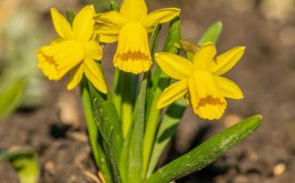 Titulní obrázek k příspěvku 2. - 6. března