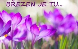 Titulní obrázek k příspěvku BŘEZEN