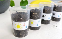 Titulní obrázek k příspěvku 16. března - 20. března