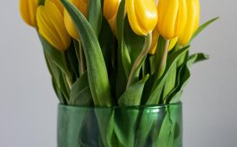 Titulní obrázek k příspěvku 16. - 20. března