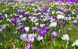 Titulní obrázek k příspěvku INFORMACE 16-20.3.