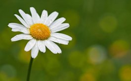 Titulní obrázek k příspěvku Týdenní plán 23.3.-27.3.