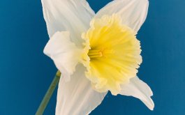 Titulní obrázek k příspěvku INFROMACE 7.4. - 10.4.