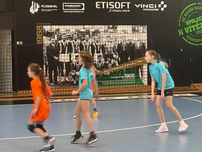 Obrázek 37652 