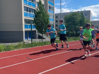 Obrázek 37731 